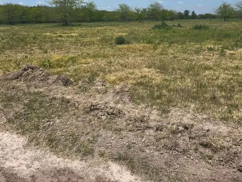 Maipu