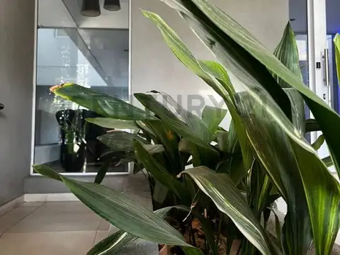 Departamento 2 ambientes con 2 baños