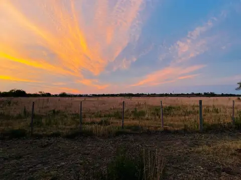 Venta de Lote 540 m² en Carmen de Areco