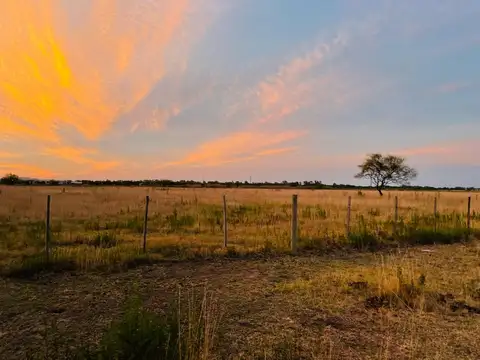 Terreno en Venta en Carmen de Areco, USD 15.000