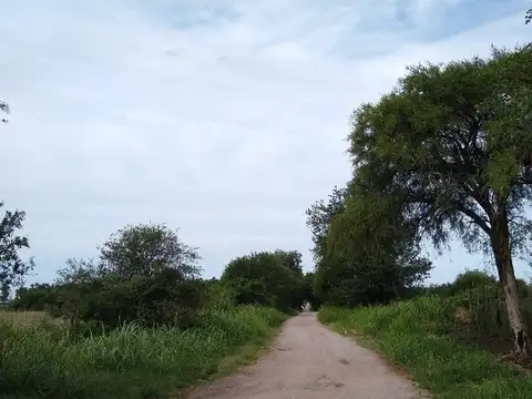 VENTA- 17.7 HECTAREAS- COLONIA CAROYA