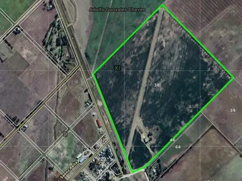 Campo en venta - 50 Hectáreas - Adolfo González Chávez