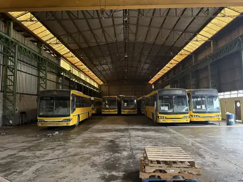 verapaz 1100