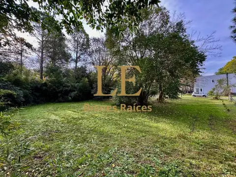 Santa Maria Del Pilar