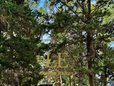 Santa Maria del Pilar