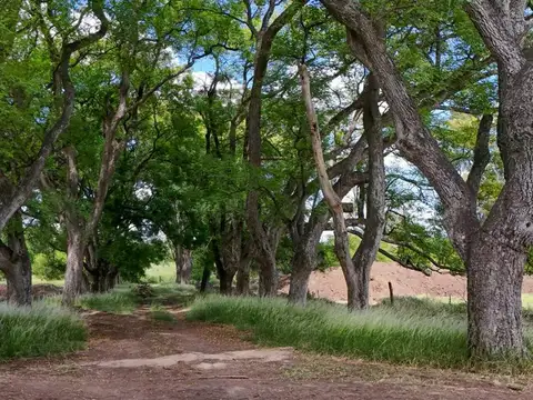 Terreno en Venta de 831,0 m2