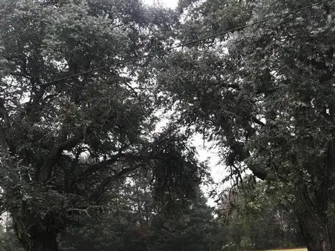 Lote en Venta con fondo en Country San Diego