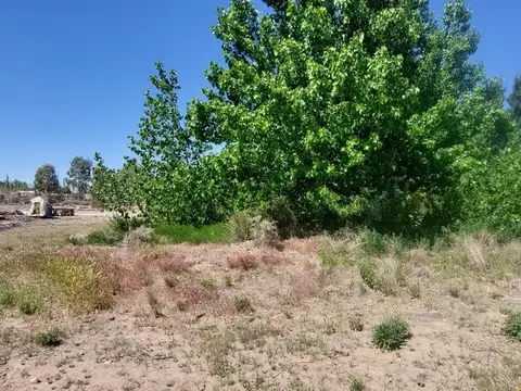 Terreno en Alquiler de 3500,0 m2