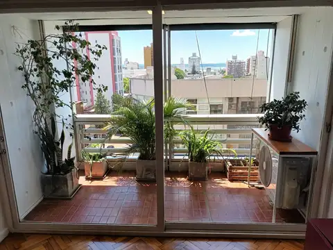 FELIX DE AZARA 2000, Piso 6