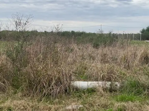 Terreno en Venta 12  mts Frente