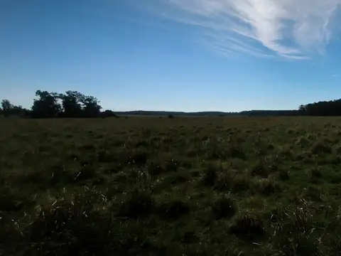 Venta 50has arenosas Federacion