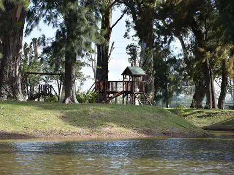 Terreno Perimetral en  San Lucas