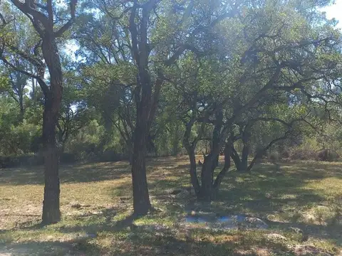 Santa Rosa