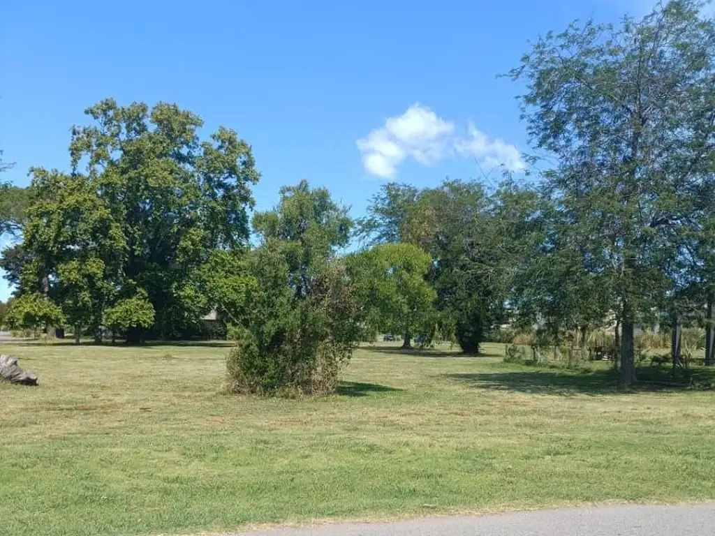 Terreno - 1.000  m² Total | Norte