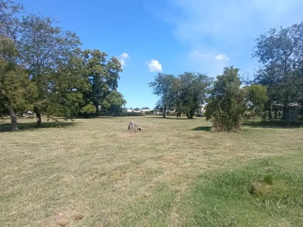 Terreno en Venta