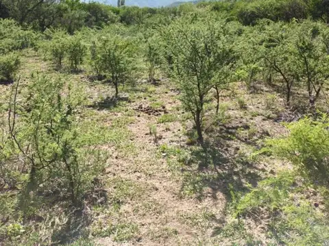 Terreno en Venta en Cerro de Oro, Junín