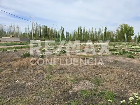 Terreno en Venta en Cinco Saltos, USD 12.000