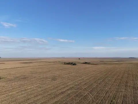 1.561 Has. Campo Productivo en Pila