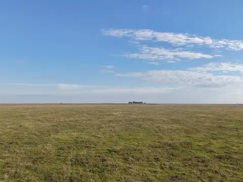 Campo en Venta Mixto