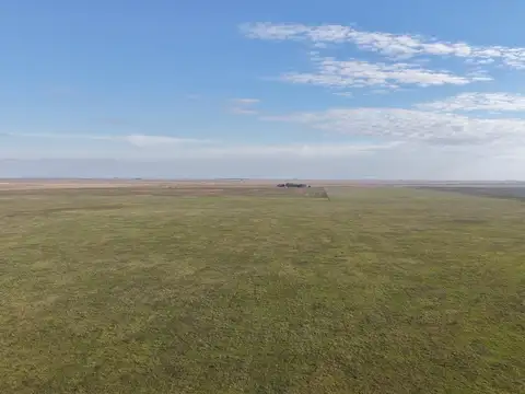 Campo en Venta de 1.561  ha