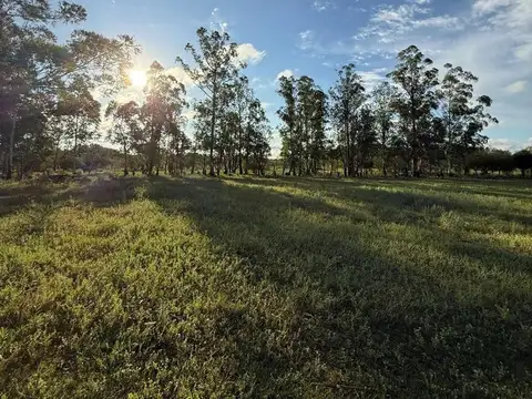 Terreno en Venta en Goya, USD 6.000