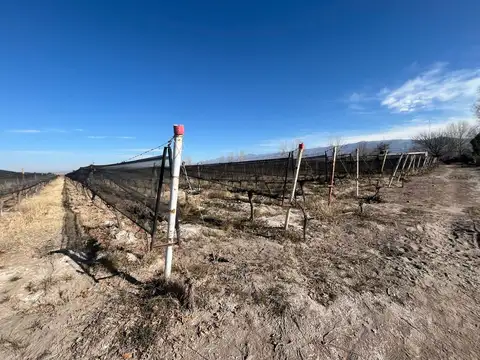 Finca en  Distrito Eugenio Bustos, San Carlos