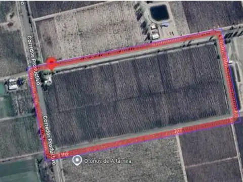 Finca en  Distrito Eugenio Bustos, San Carlos