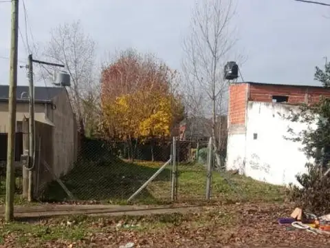 Lainez