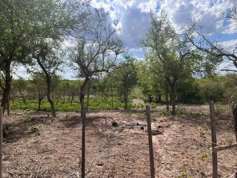 Ruta Povincial 2 km 7