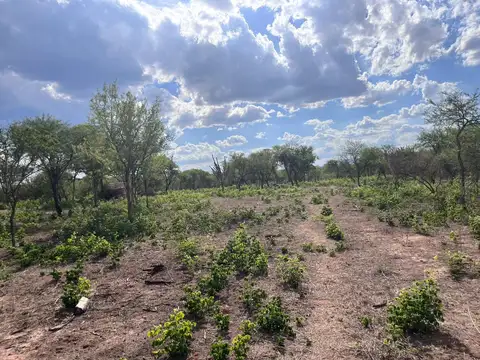 Terreno en Venta de 42000,0 m2