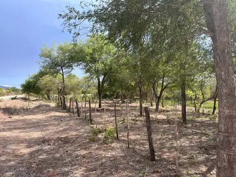 Terreno en Venta en Rosario de la Frontera, USD 55.000