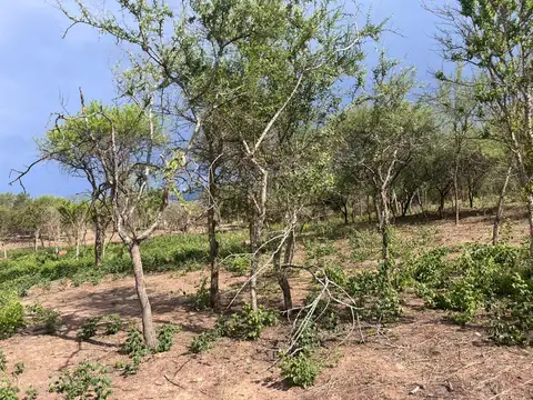 Finca en Rosario De La Frontera