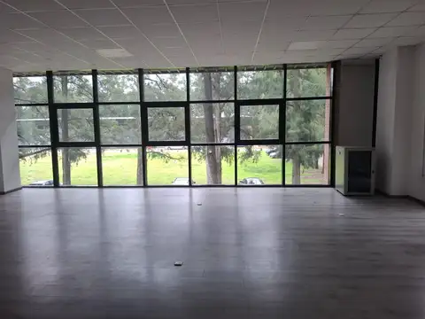 Galpon en Alquiler 26  mts Fondo