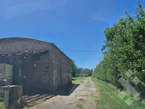 Oportunidad - Venta  Chacra  - Calle Julio Salto - Frente a la Nonina -  Cipolletti -