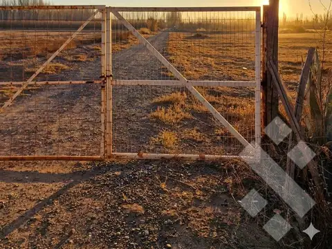 Terreno en Alquiler de 200,0 m2