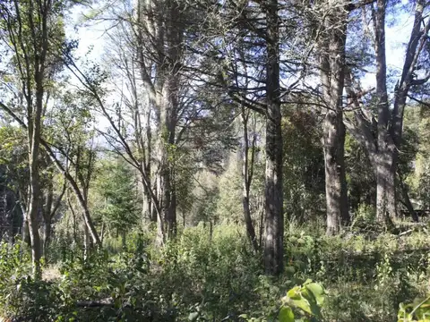 Venta lote Villa La Angostura
