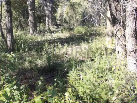 Venta lote Villa La Angostura