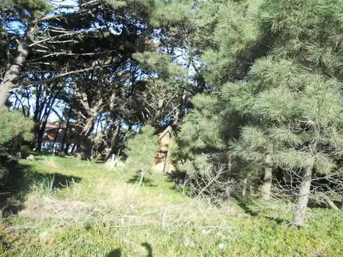 Terreno en Venta de 572,0 m2