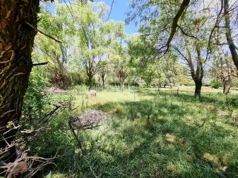 Terreno en Venta de 5000,0 m2