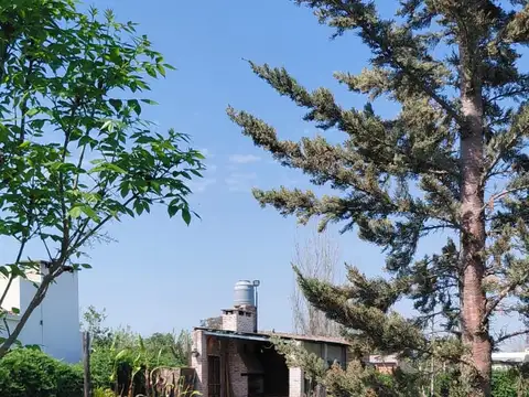Laprida 800