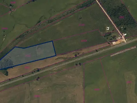 Ruta 9 km 123