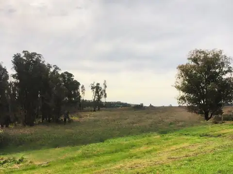 Chacra de 5,5 Hectáreas a 13 kms de Pueblo Eden