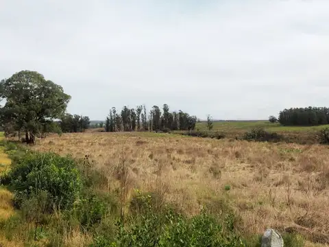 Ruta 9 km 123