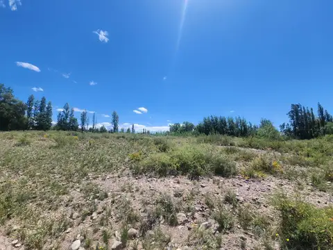 Terreno en  Luján de Cuyo
