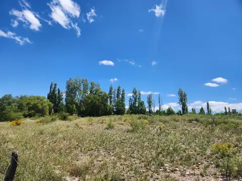 Terreno en Venta en Lujan De Cuyo, USD 250.000