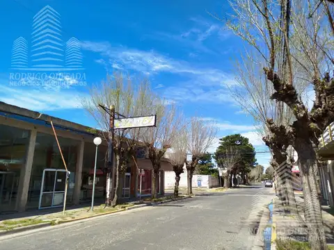 Newbery  al 700