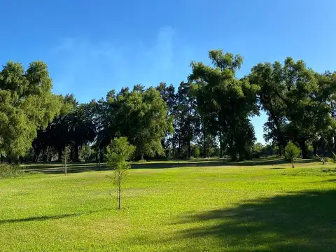 Paranacito