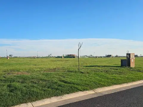 Av de los lagos al 100