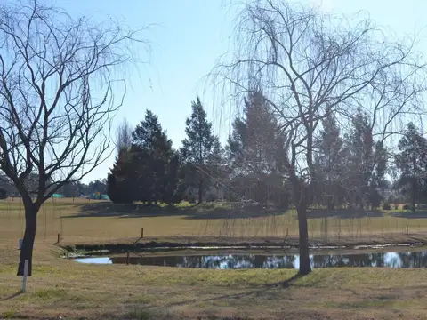 Avenida Fernández Beschtedt