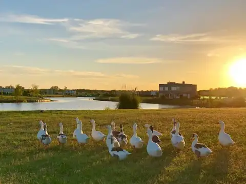 Terreno en Venta en El Canton, $ 150.000